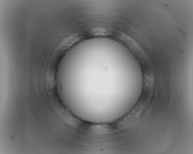 X0000112060422200908111416