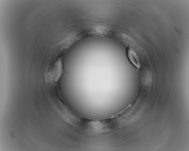 X0000112060425200908111416