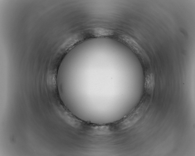 X0000112060426200908111416