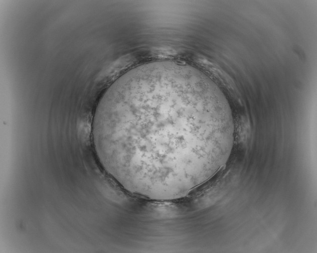 X0000112060427200908111416