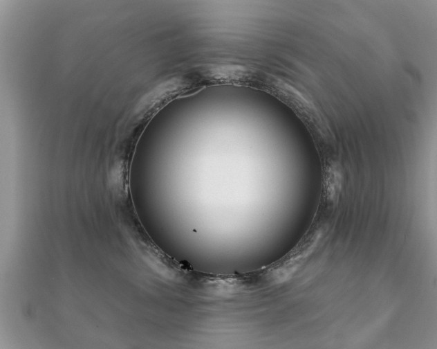 X0000112060428200908111416