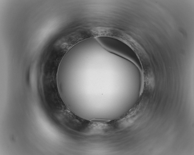 X0000112060429200908111416