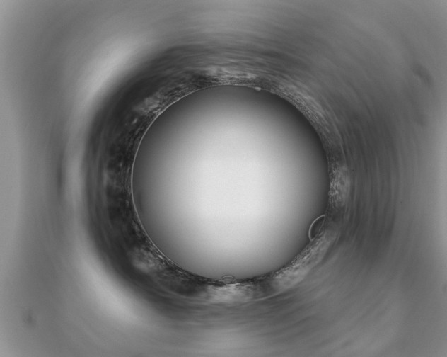 X0000112060430200908111416