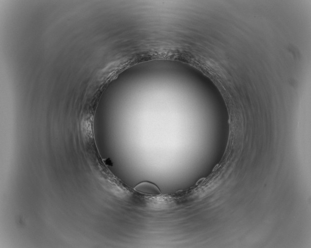 X0000112060432200908111416