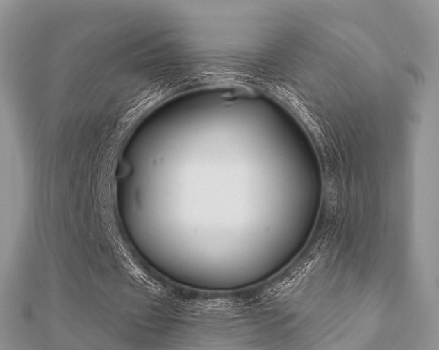 X0000112060433200908111415