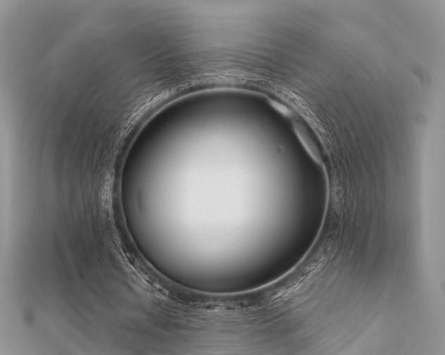 X0000112060434200908111415