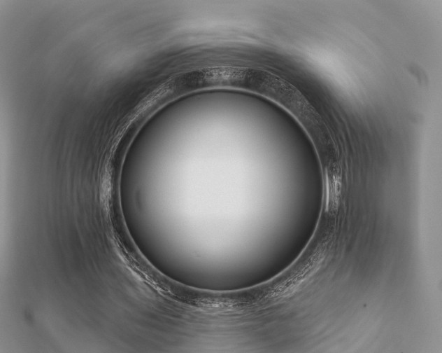 X0000112060435200908111415