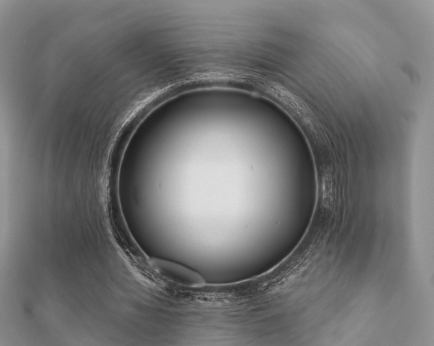 X0000112060436200908111415