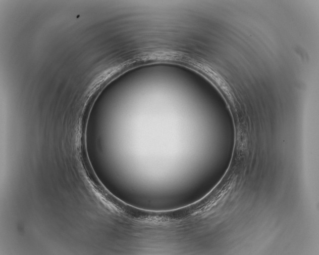X0000112060437200908111415