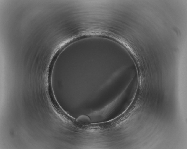X0000112060438200908111415
