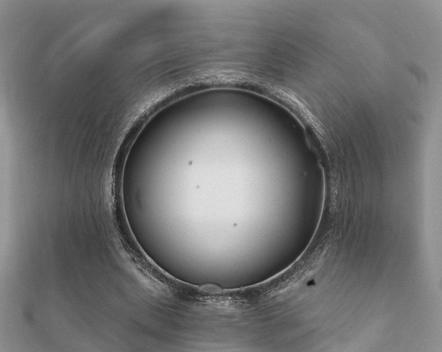 X0000112060439200908111415