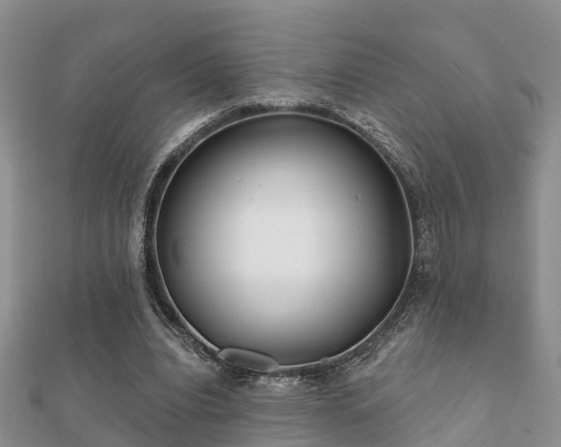 X0000112060440200908111415