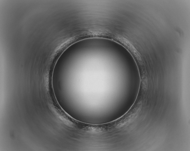 X0000112060442200908111415