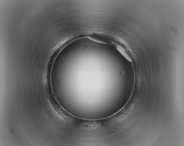 X0000112060443200908111415