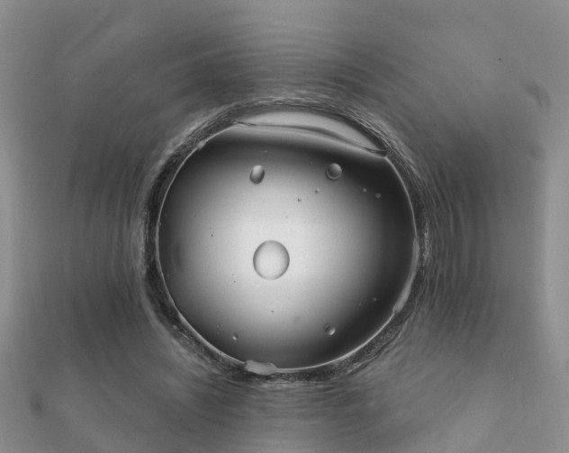 X0000112060444200908111415