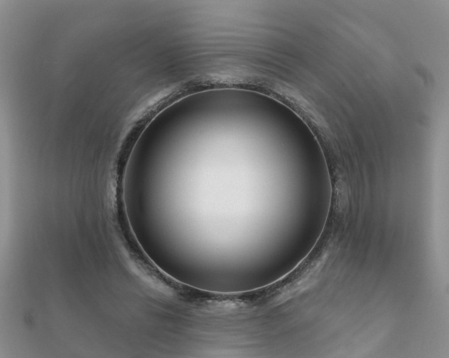 X0000112060446200908111415