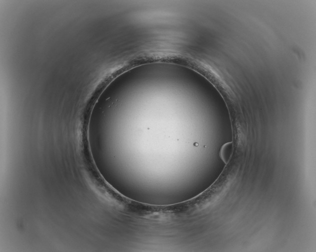 X0000112060447200908111415
