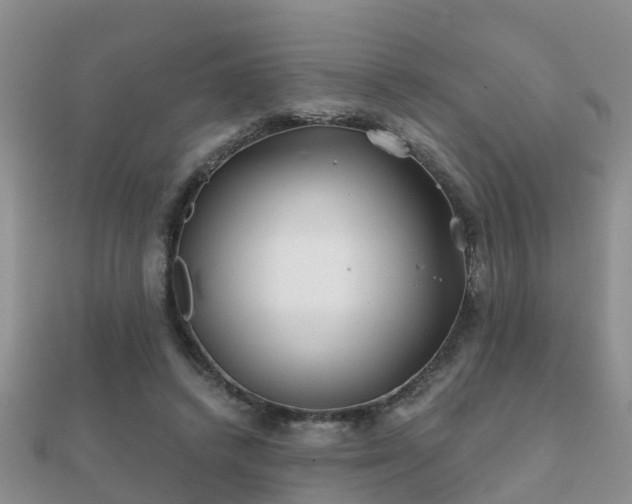 X0000112060448200908111415