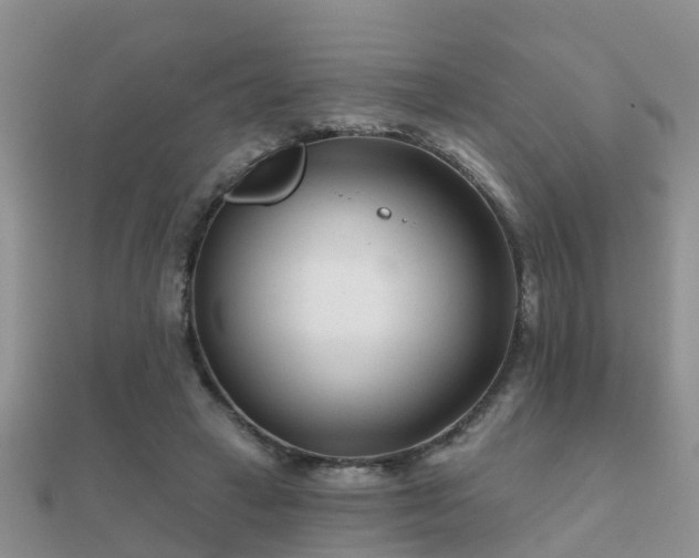 X0000112060449200908111415