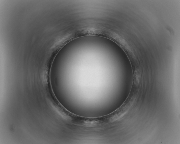 X0000112060450200908111415