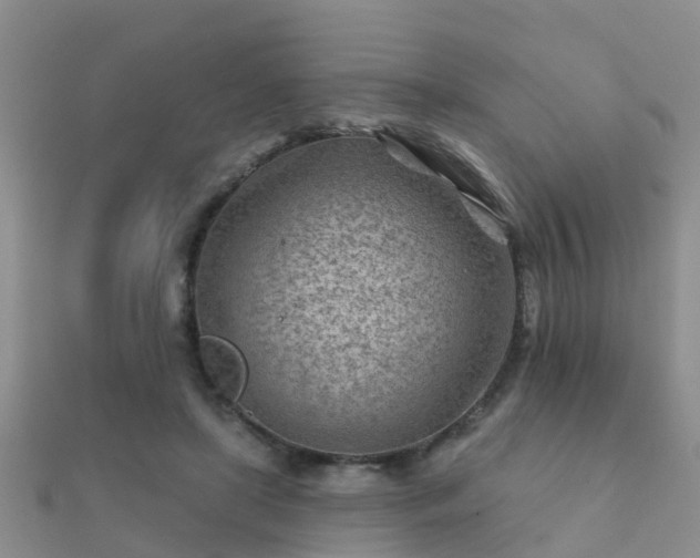 X0000112060451200908111415