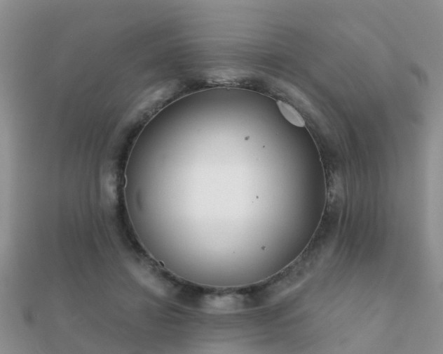 X0000112060452200908111415