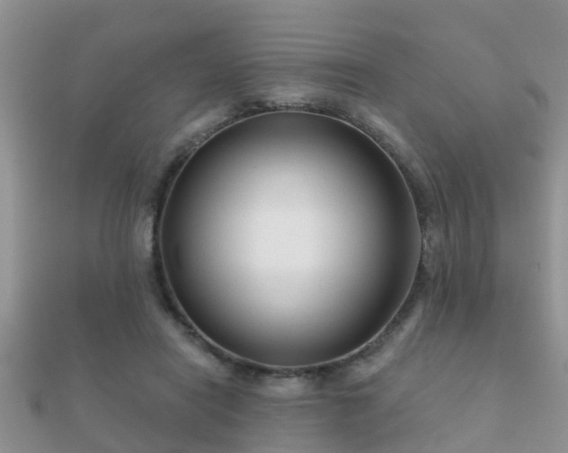 X0000112060454200908111415