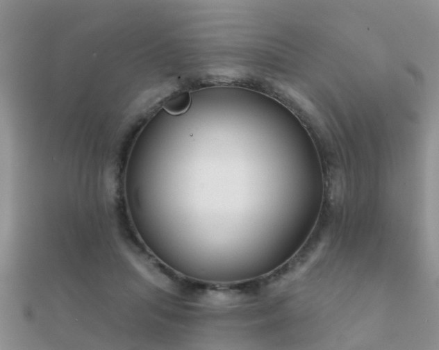 X0000112060455200908111415