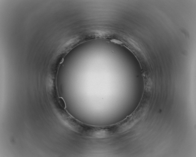 X0000112060456200908111415
