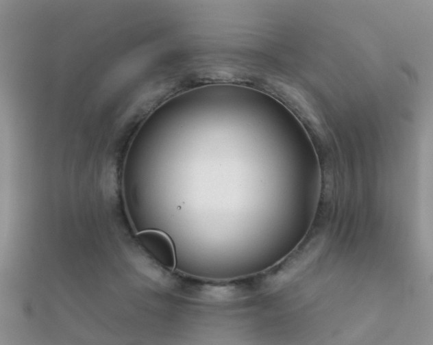 X0000112060457200908111415