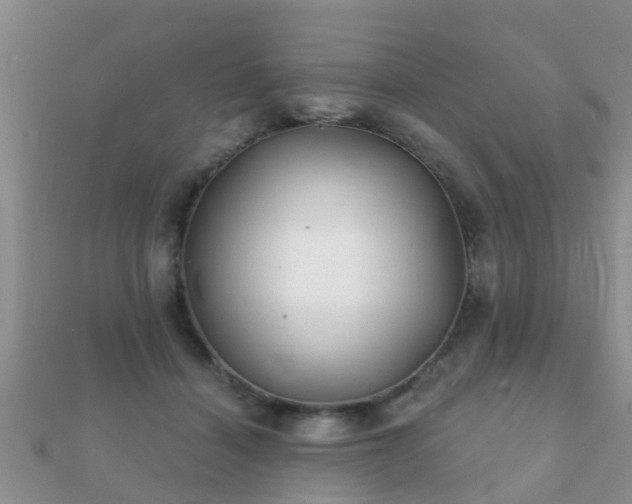 X0000112060460200908111415