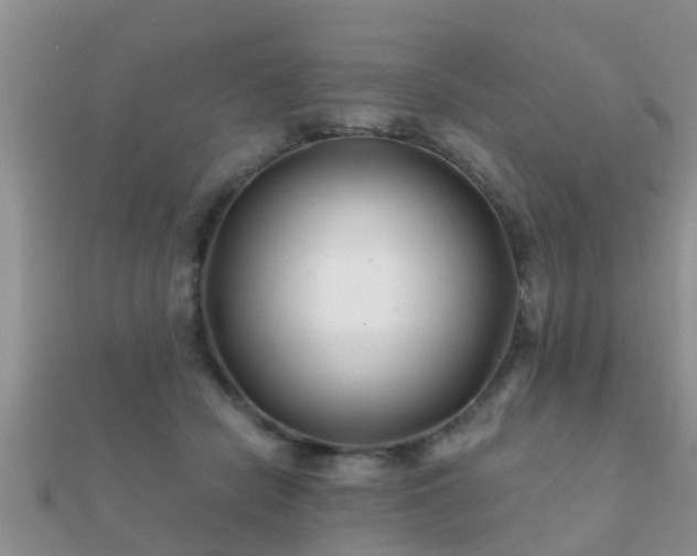 X0000112060462200908111415