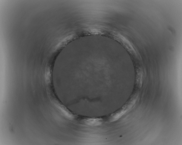 X0000112060465200908111415