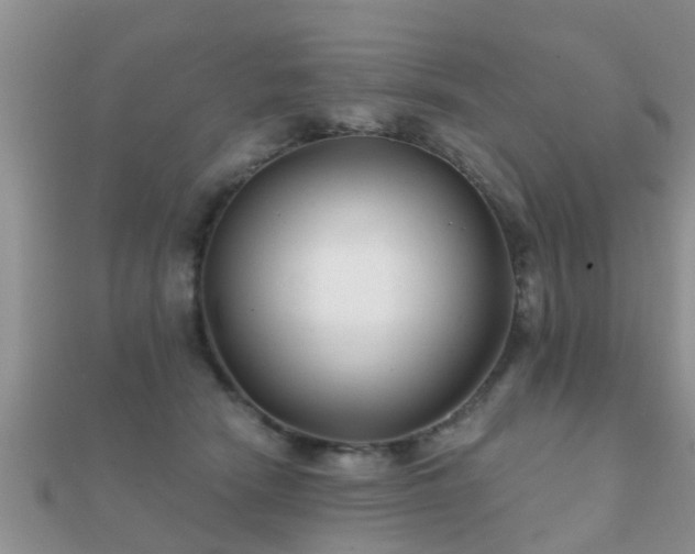 X0000112060466200908111416