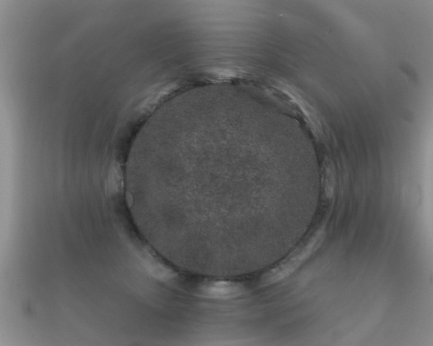 X0000112060467200908111416