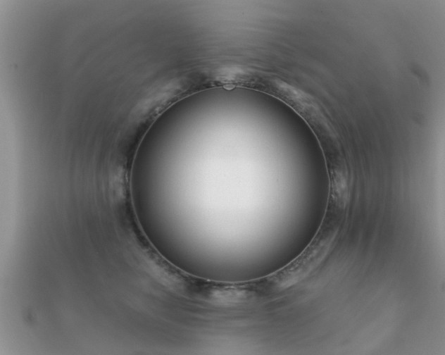 X0000112060470200908111416