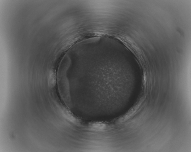 X0000112060471200908111416