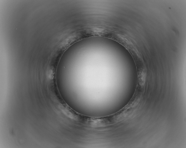 X0000112060472200908111416