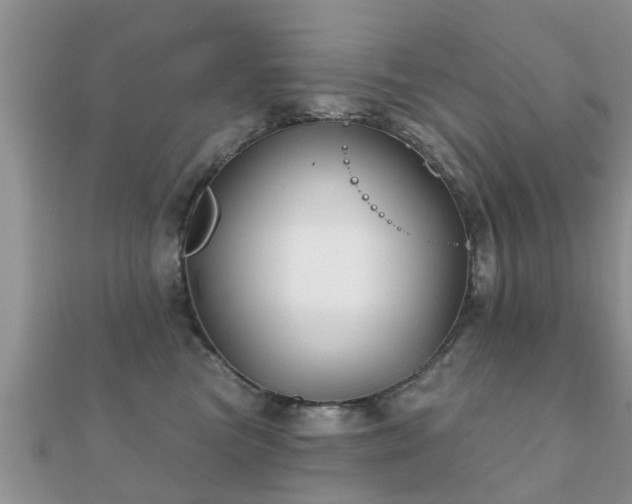 X0000112060473200908111416