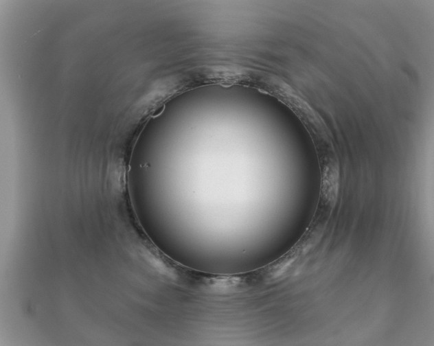 X0000112060474200908111416