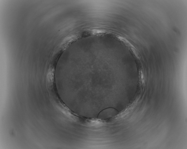 X0000112060475200908111416