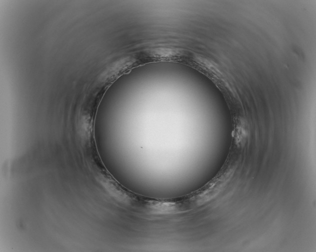 X0000112060476200908111416