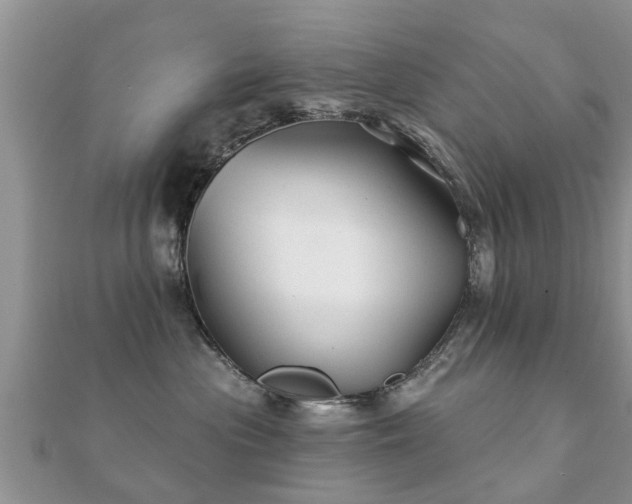 X0000112060477200908111416