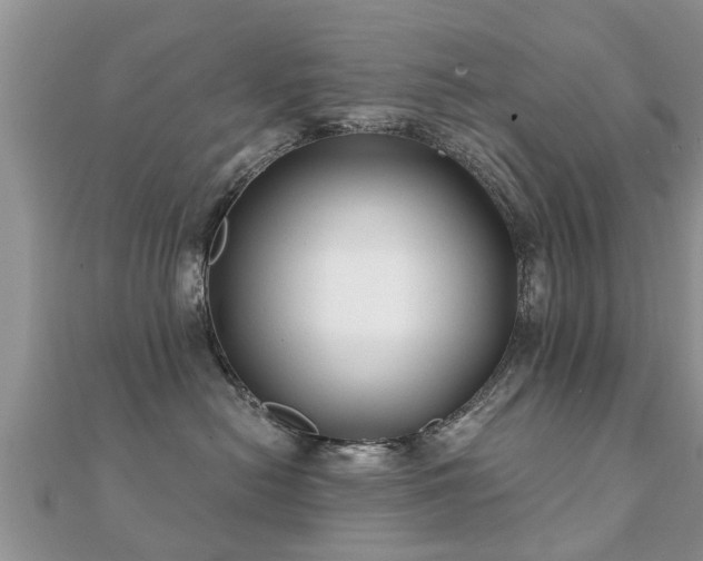 X0000112060478200908111416