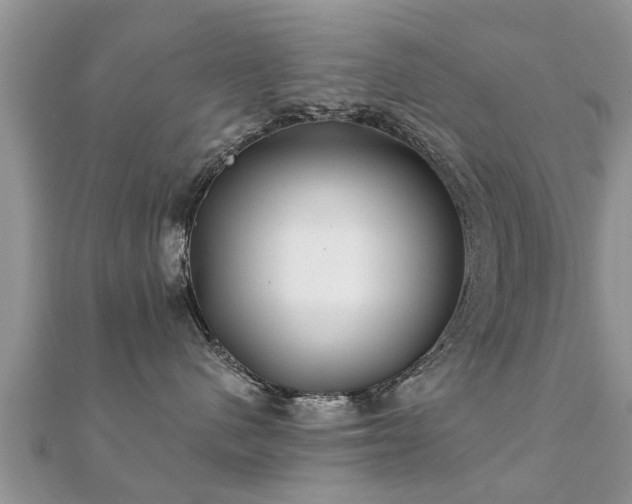 X0000112060480200908111416