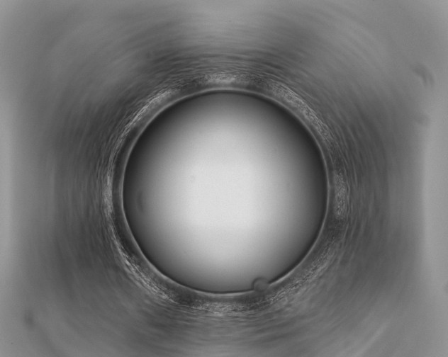 X0000112060482200908111415
