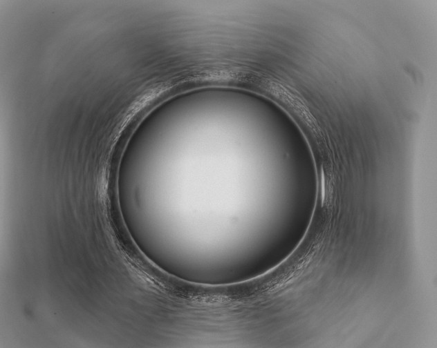 X0000112060483200908111415