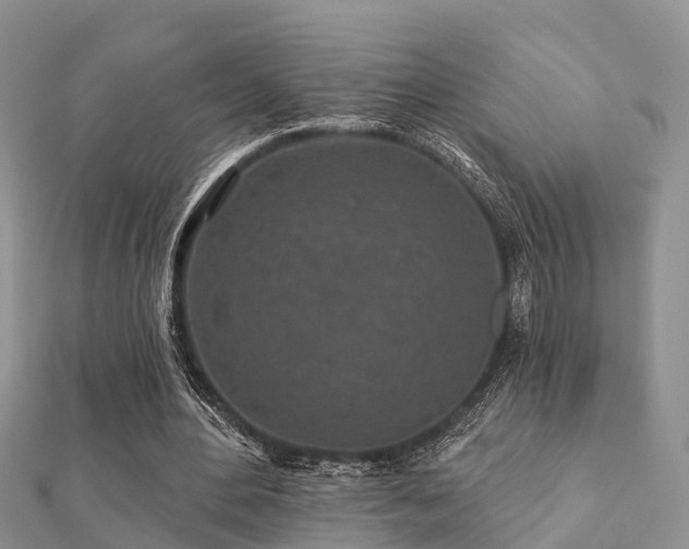 X0000112060484200908111415