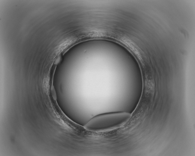 X0000112060485200908111415