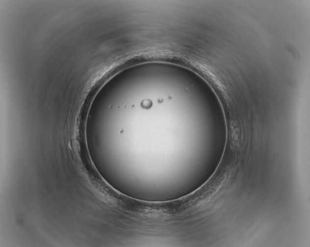 X0000112060487200908111415